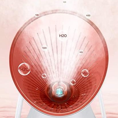 Nano Ionic Face Steamer